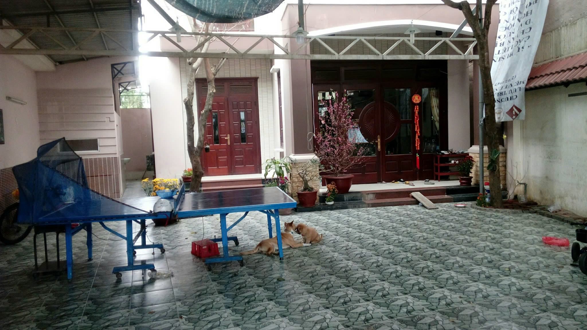 Biệt thự mini 2 tầng mặt tiền Cách Mạng Tháng 8, diện tích 240m2, phù hợp làm văn phòng - Ảnh 3