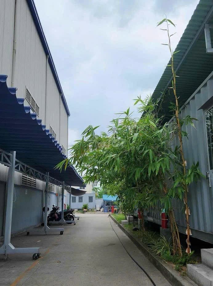 Kho bãi 1.942m2 đường số 1 - đường số 8 KCN Hòa Cầm, phù hợp lưu trữ và logistics - Ảnh 3