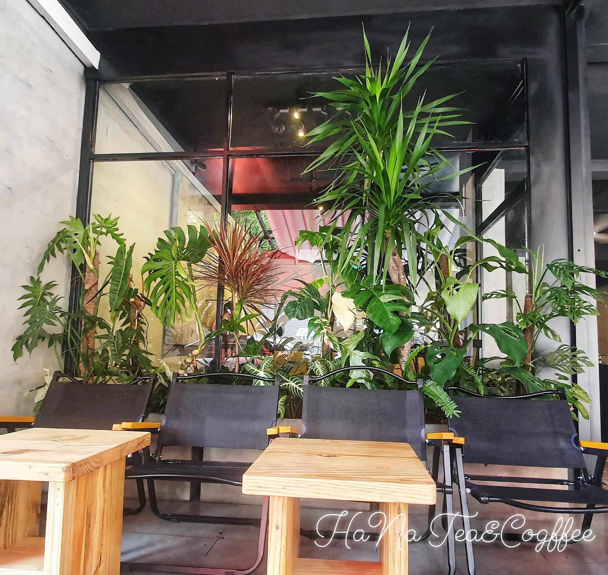 MẶT BẰNG LÊ THÁNH TÔN SẴN QUÁN CAFE NGANG GẦN 10M - Ảnh 6
