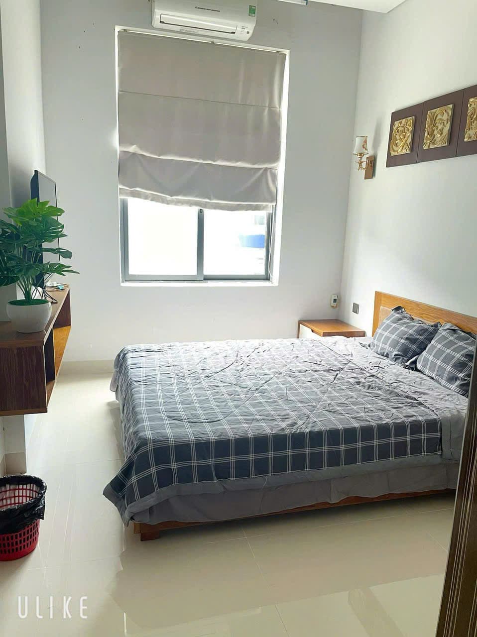 Nhà nguyên căn đường số 2 trong khu đô thị Đa Phước, quận Hải Châu - Ảnh 3