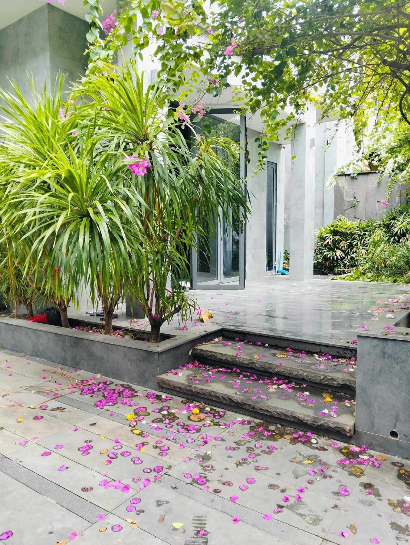 Biệt thự 4 tầng sát biển Trần Bạch Đằng