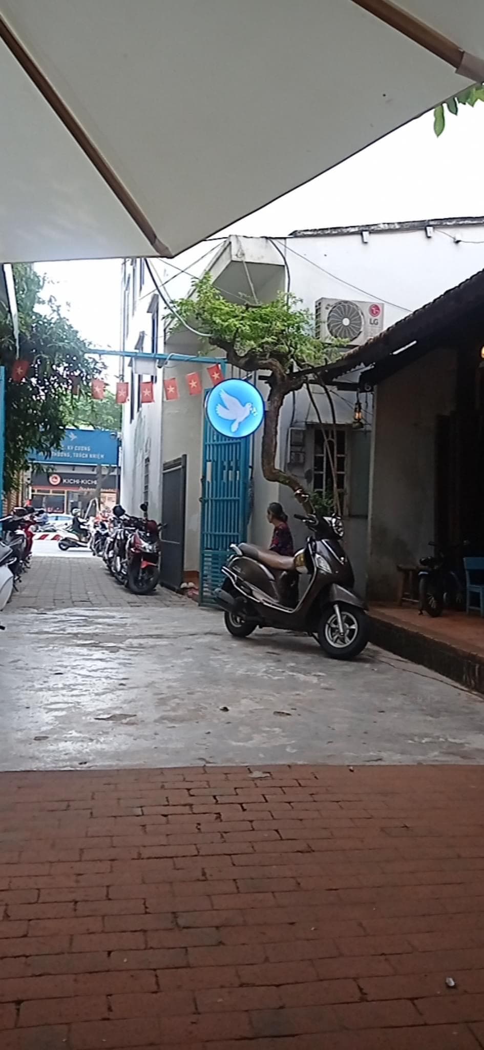 Mặt bằng kinh doanh đường Lê Đình Dương - Ảnh 2