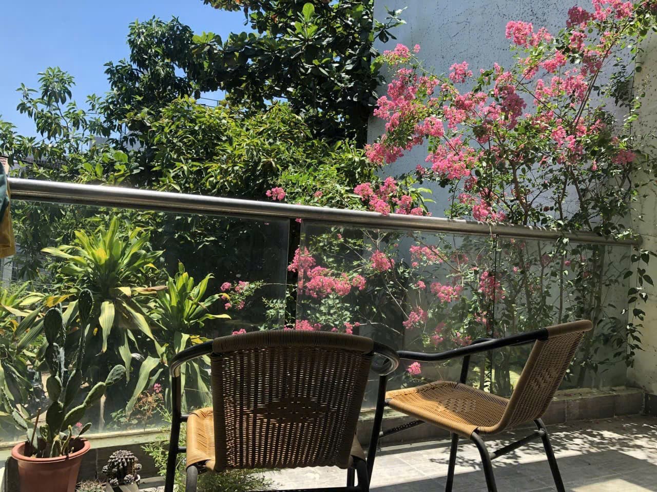 NGUYÊN CĂN 3 TẦNG KHU PHẠM VĂN ĐỒNG - Ảnh 8